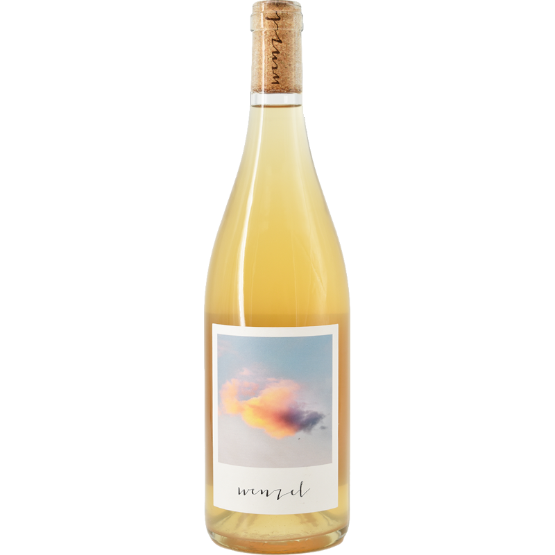 WENZEL LOCKVOGEL 2024