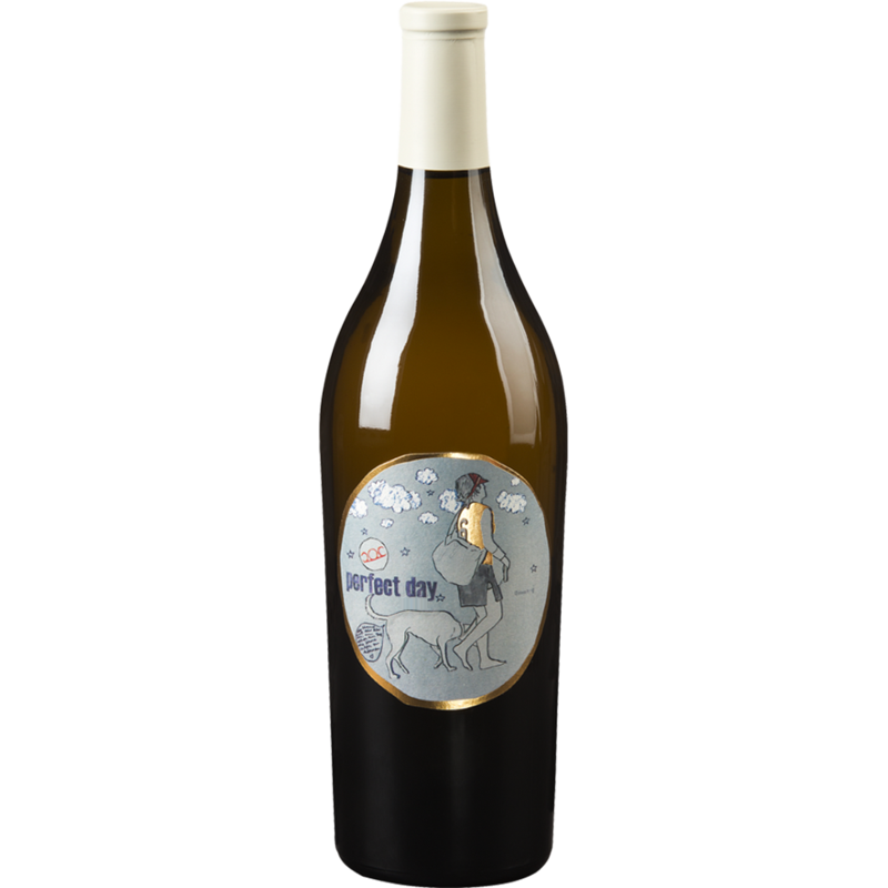 PITTNAUER PERFECT DAY 2024