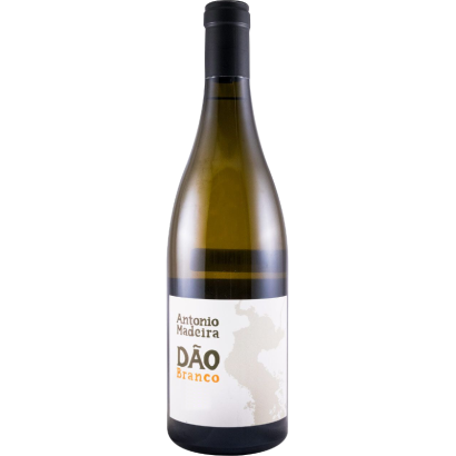 MADEIRA BRANCO DAO 2022