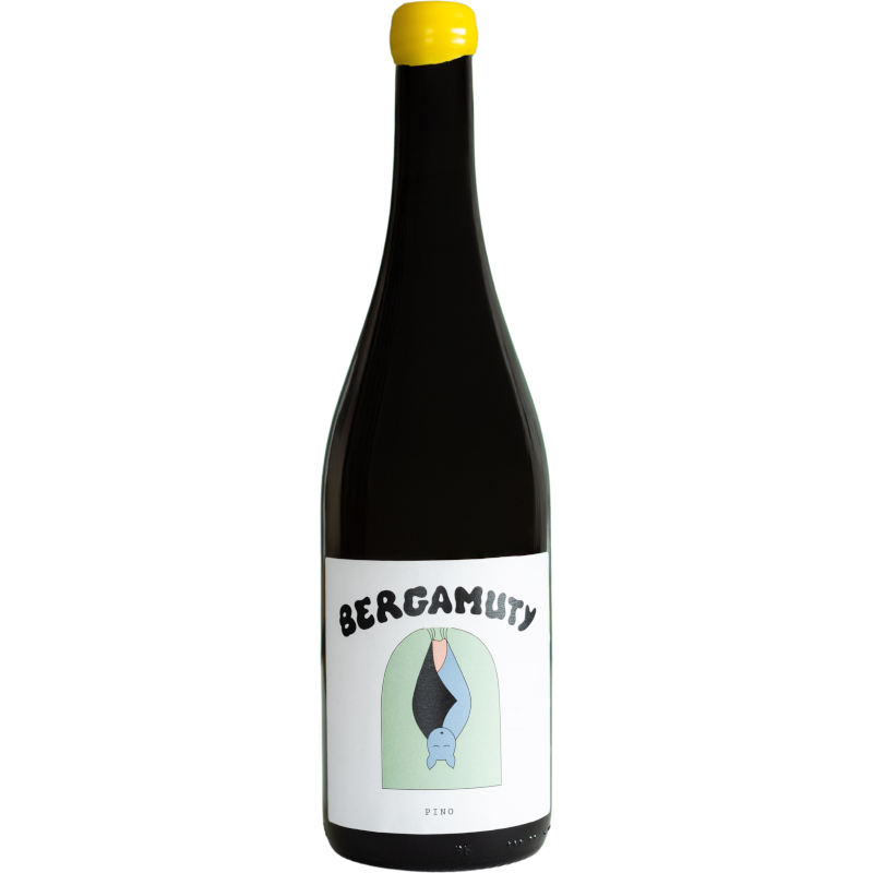 BERGAMUTY PINO 2024