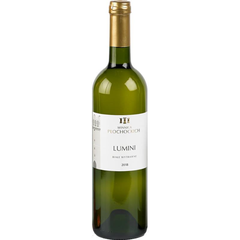 PŁOCHOCCY LUMINI 2024