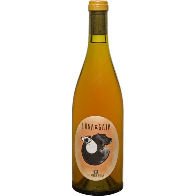 HENRI MILAN LUNA & GAIA ORANGE 2022