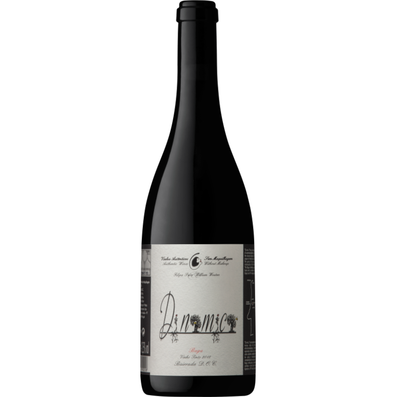 FILIPA PATO D.N.M.C. BAGA 2024