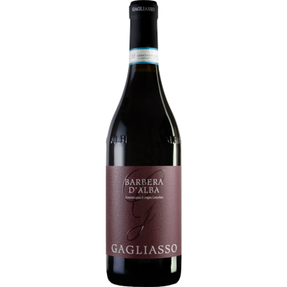 GAGLIASSO BARBERA D'ALBA 2023