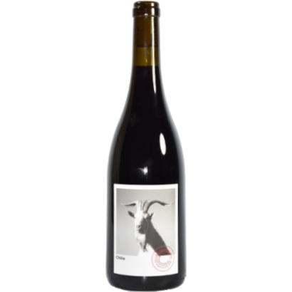 PLANET MOURAZ CHIBU RED 2021